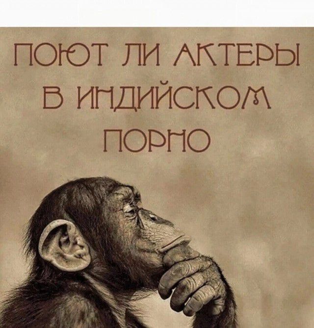 поют ли актёры в индийском порно