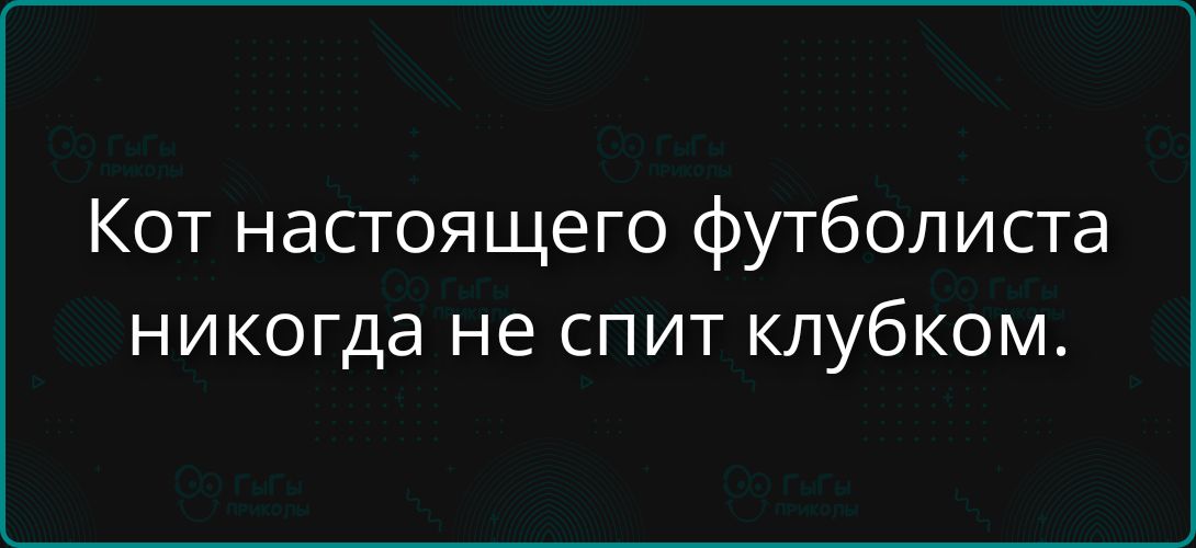 Кот настоящего футболиста никогда не спит клубком.
