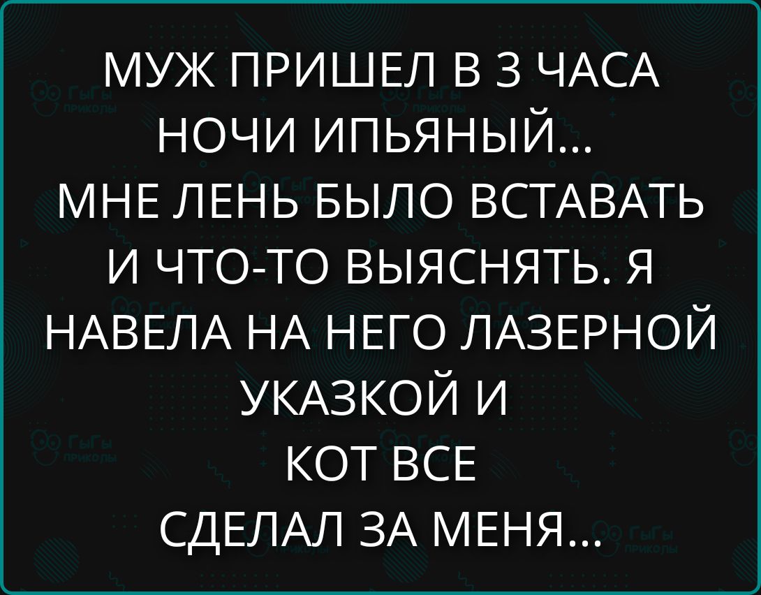 МУЖ ПРИШЕЛ В 3 ЧАСА НОЧИ ИПЬЯННЫЙ... МНЕ ЛЕНЬ БЫЛО ВСТАВАТЬ И ЧТО-ТО ВЫЯСНЯТЬ. Я НАВЕЛА НА НЕГО ЛАЗЕРНОЙ УКАЗКОЙ И КОТ ВСЕ СДЕЛАЛ ЗА МЕНЯ...