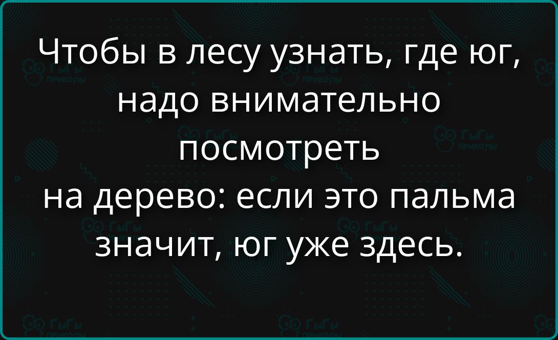 Чтобы в лесу узнать, где юг, надо внимательно посмотреть на дерево: если это пальма значит, юг уже здесь.
