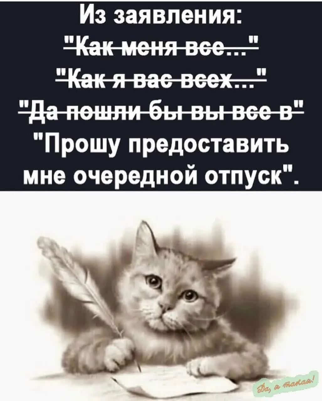 Из заявления: 