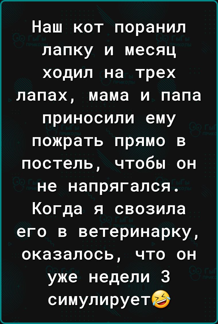 Г____ Наш кот поранил папку и месяц ходил на трех лапах мама и папа приносили ему пожрать прямо в постель чтобы он не напрягапся Когда я свозила его в ветеринарку оказалось что он уже недели 3 симулируете