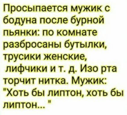 Просыпается мужик с бодуна после бурной пьянки по комнате разбросаны бутылки трусики женские лифчики и т д Изо рта торчит нитка Мужик Хоть бы липтон хоть бы липтон