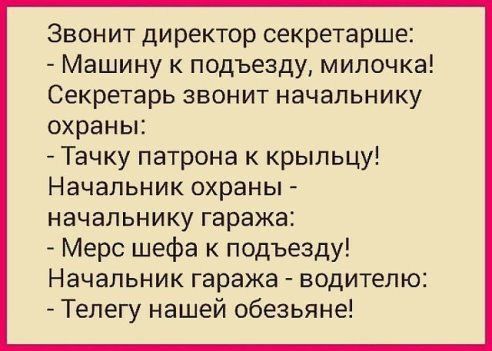 Звон ит директор секретарше Машину к подъезду милочка Секретарь звонит начальнику охраньк Тачку патрона к крыльцу Начальник охраны начальнику гаража Мерс шефа к подъезду Начальник гаража водителю Телегу нашей обезьяне