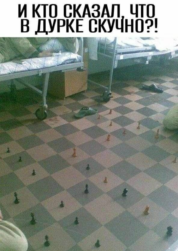 кто скдздп что _ ДУРКЕ скучна