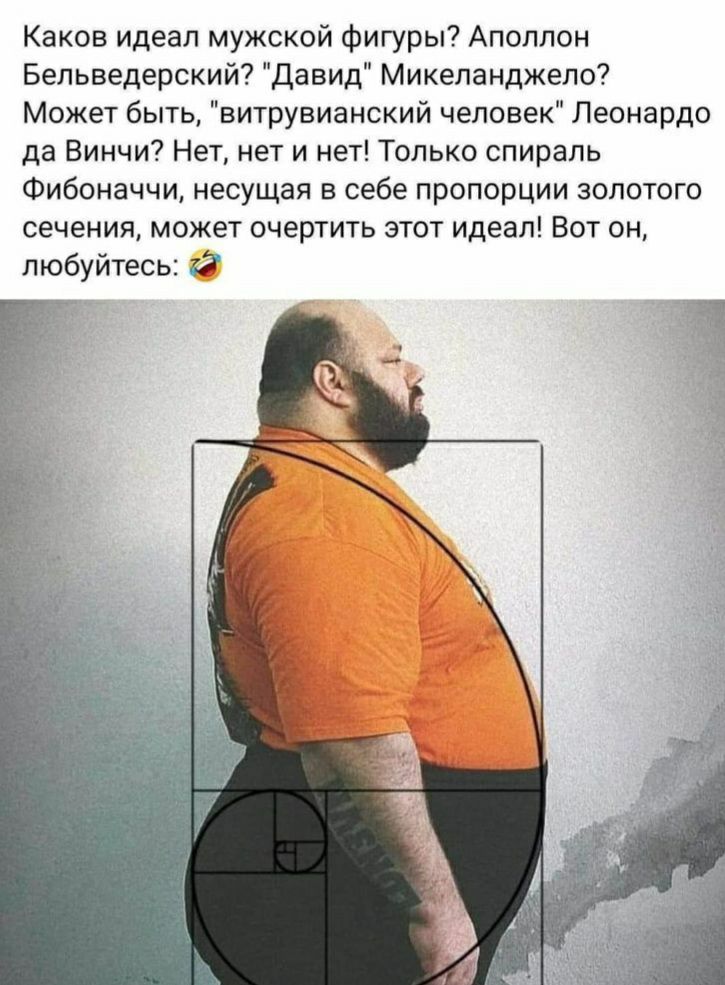 Каков идеал мужской фигуры Аполлон Бельведерокий Давид Микеланджело Может быть витрувианский человек Леонардо да Винчи Нет нет и нет Только спираль Фибоначчи несущая в себе пропорции золотого сечения может очертить этот идеал Вот он Любуйтесь