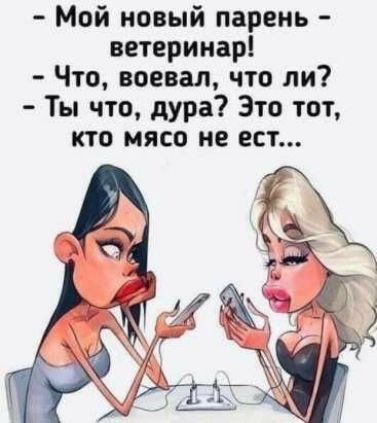 Мой новый парень ветеринар Что воевал что ли Ты что дура Это тот кто мясо не ест