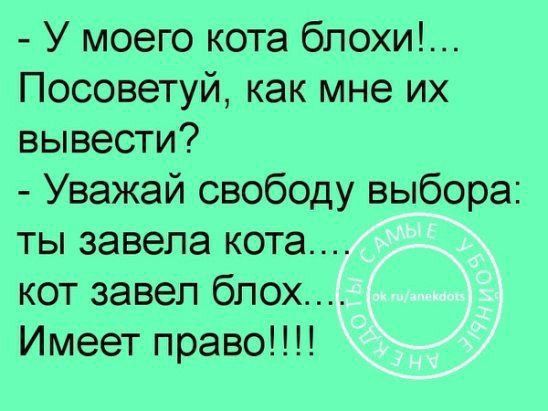 У моего кота блохи Посоветуй как мне их вывести Уважай свободу выбора ты завела кота кот завел блох Имеет право