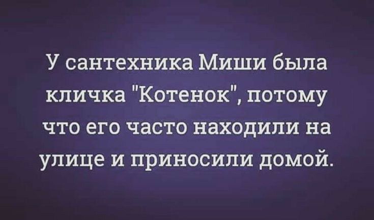 У сантехника Миши была кличка Котенок потому что его часто находили на улице и приносили домой