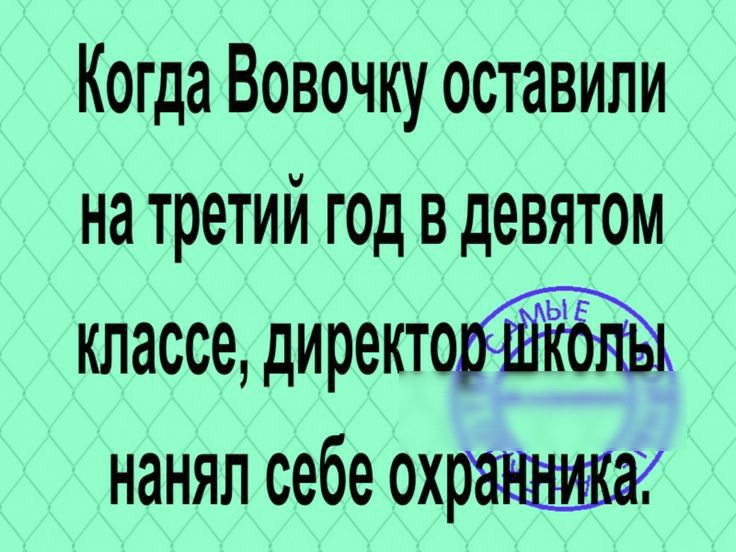 Когда Вовочку оставили на третий год в девятом классе директо нанял себе