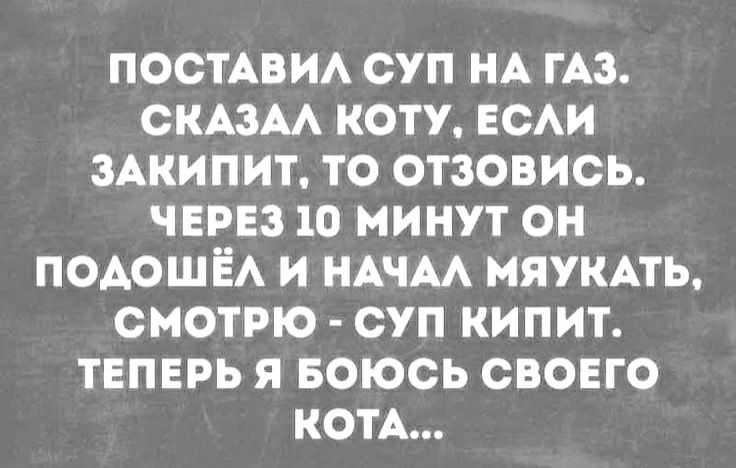 постАвИА суп НА гдз спам котУ ЕСАИ ЗАКИПИТ то отзовись чврнз 10 минут он ПОАОШЁА и НАЧАА мяукпь смотрю суп кипит тепврь я Боюсь своего КОТА