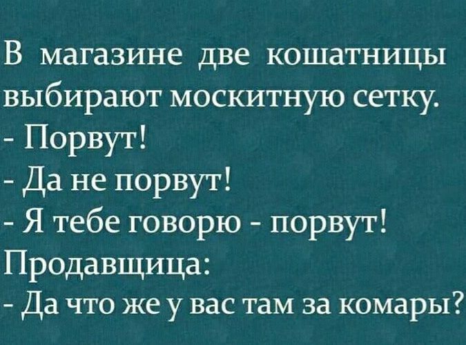 В магазине две кошатницы выбирают москитную сетку Порвут Да не порвут Я тебе говорю порвут Продавщица Да что же у вас там за комары