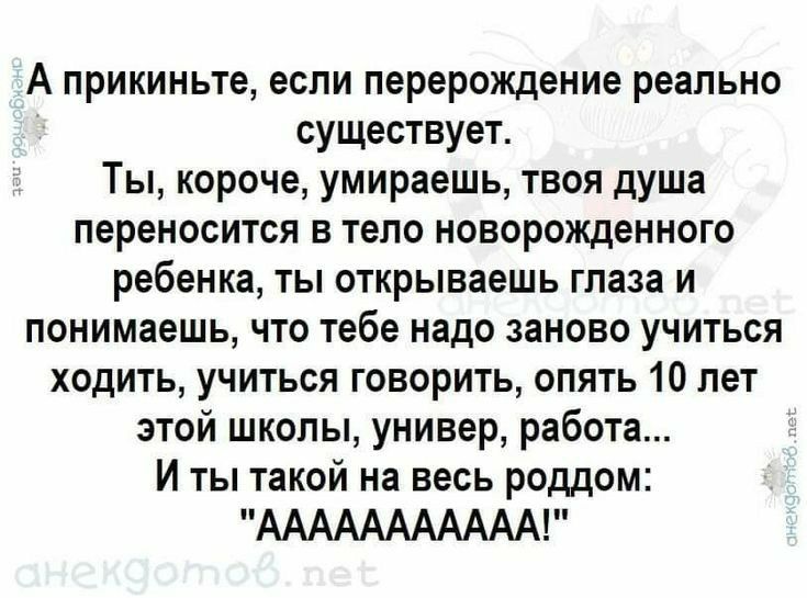 А прикиньте если перерождение реально существует Ты короче умираешь твоя душа переносится в тело новорожденного ребенка ты открываешь глаза и понимаешь что тебе надо заново учиться ходить учиться говорить опять 10 лет этой школы универ работа И ты такой на весь роддом ААААААААААА