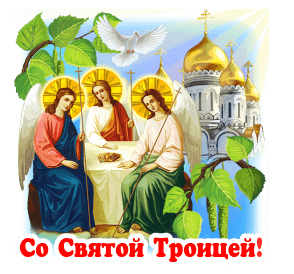 ш о т 31 с о с