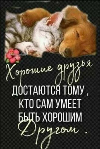 ХЁЁТТЮТ йому КТО САМ УМЕЕТ Ь ХОРОШИМ
