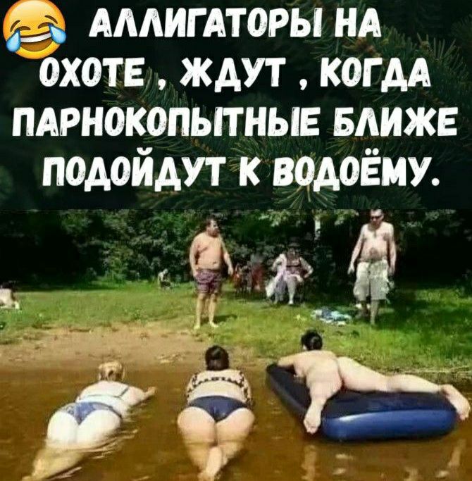 АААИГАТОРЫ нд охоте ждут когм пярнокопьпныв БЛИЖЕ подойдут к водоЁиу гг чае гд