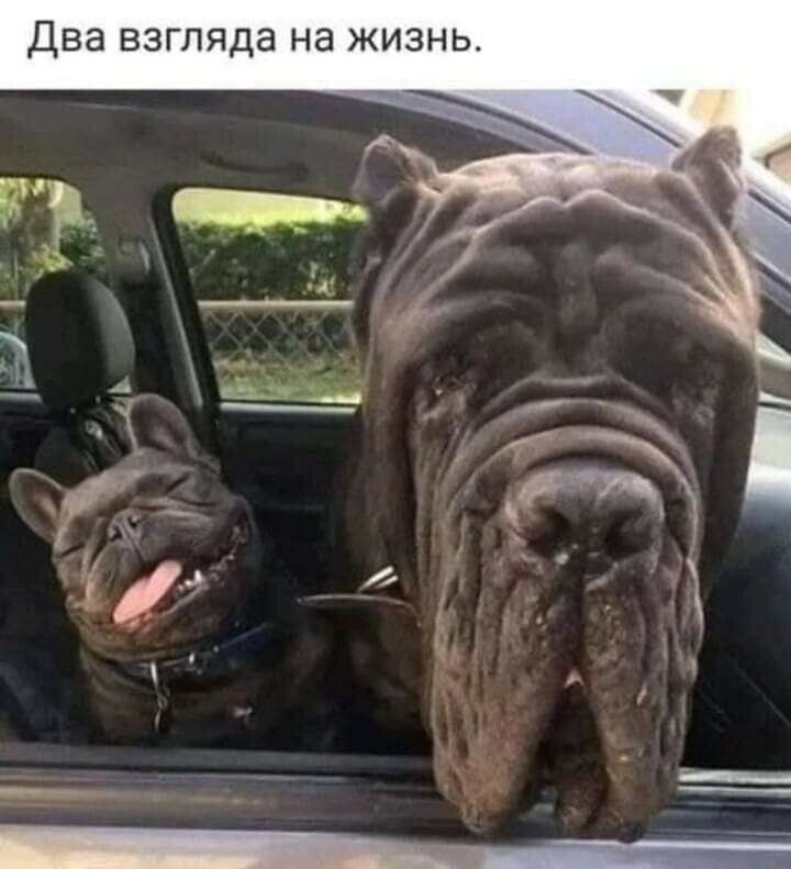 Два взгляда на жизнь