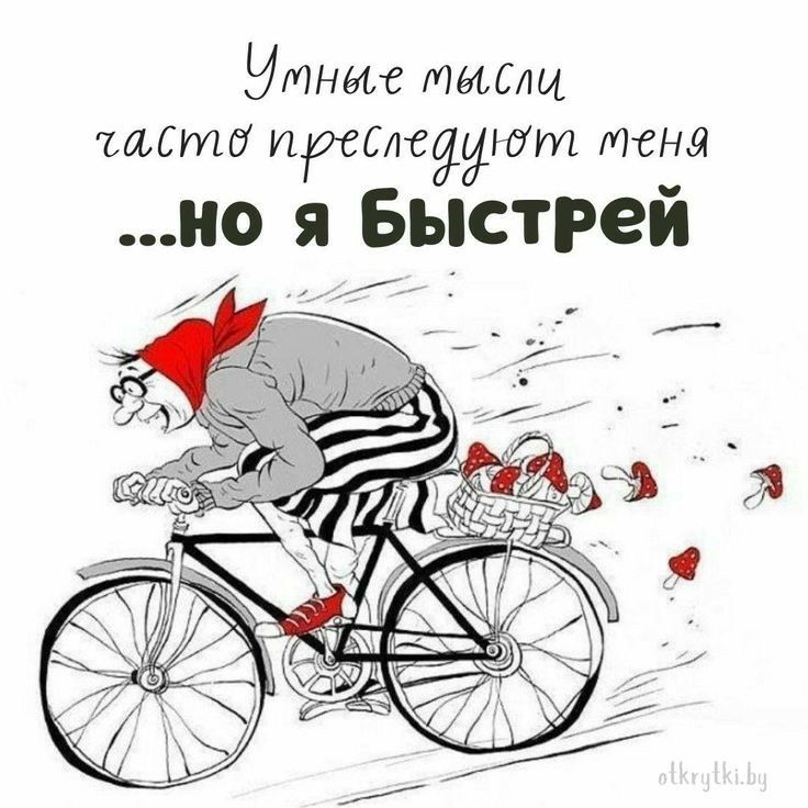 Ню кие тысщ шамп применилот щена о я Быстрей