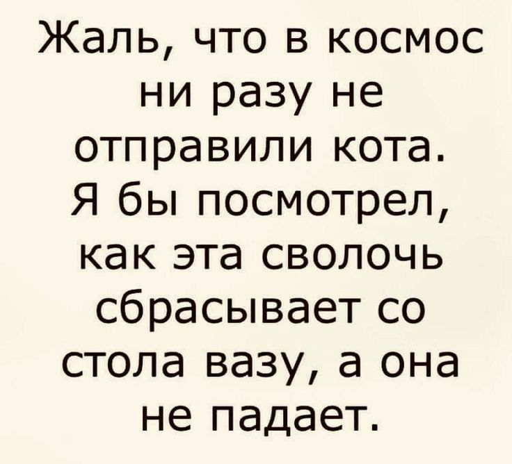 Жаль что в космос ни разу не отправили кота Я бы посмотрел как эта сволочь сбрасывает со стола вазу а она не падает