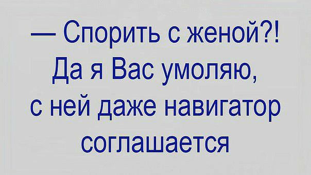 Спорить с женой Да я Вас умоляю с ней даже навигатор соглашается