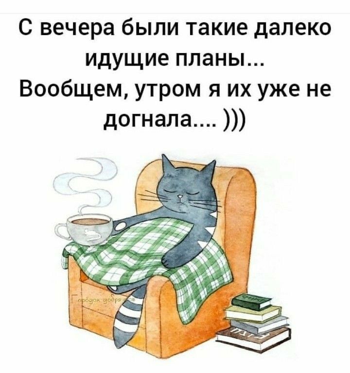 с вечера были такие далеко идущие планы Вообщем утром я их уже не догнала