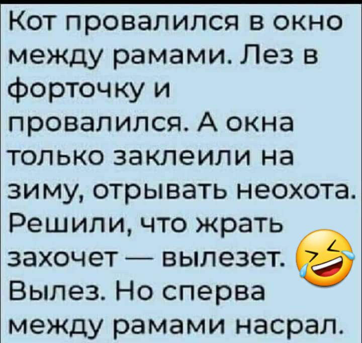 Кот провалился в окно между рамами Лез в форточку и провалился А окна только заклеили на зиму отрывать неохота Решили что жрать захочет вылезет Вылез Но сперва между рамами насрал