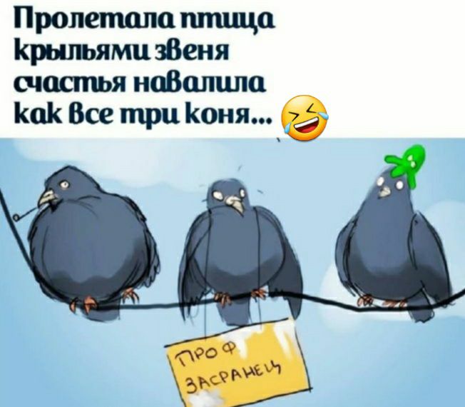 Пролетола птица Крыльями зВеня счастья ноВалила КаК Все три Коня 25