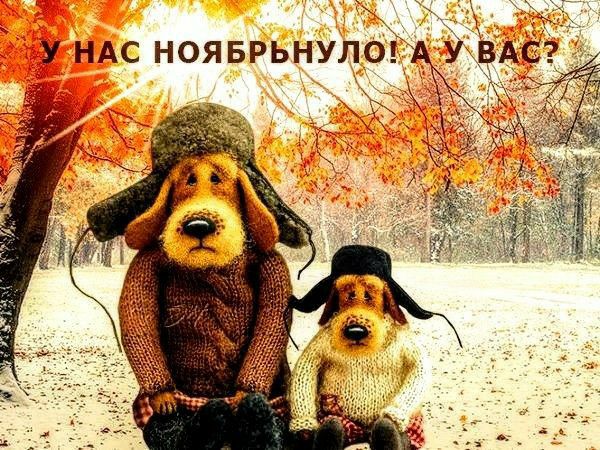 У НАС НОЯБРЬНУЛОЁ как