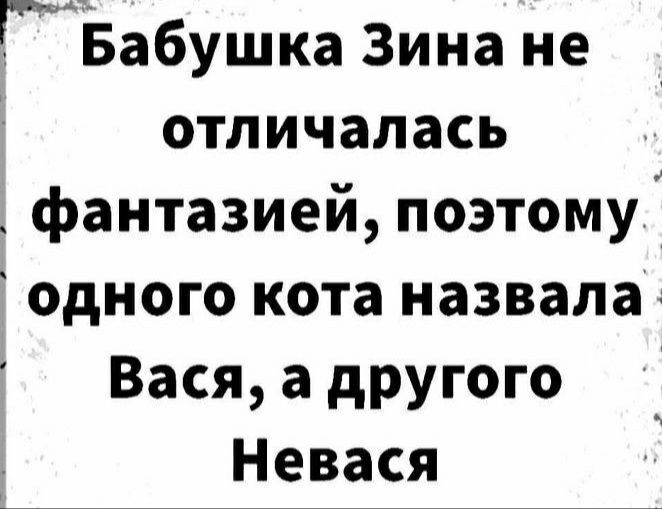 ГИБабушка Зина не отличалась фантазией поэтому одного кота назвала Вася а другого Невася