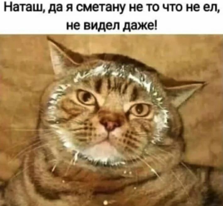 Наташ да я сметану не то что не ел не видел даже а в Фш