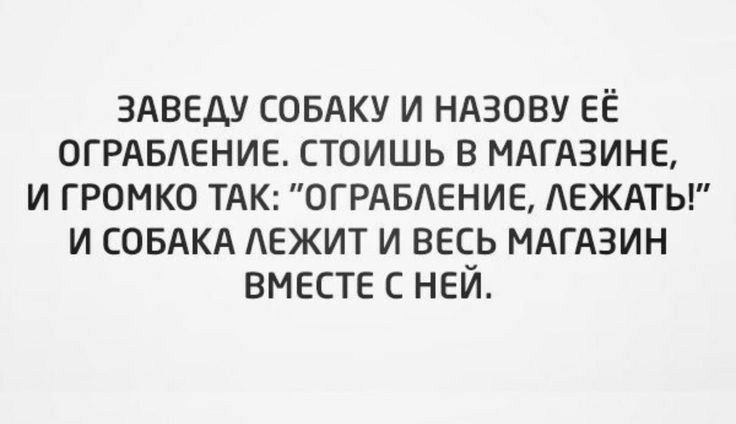 ЗАВЕАУ СОБАКУ И НАЗОВУ ЕЁ ОГРАБАЕНИЕ СТОИШЬ В МАГАЗИНЕ И ГРОМКО ТАК ОГРАБАЕНИЕ АЕЖАТЫ И СОБАКА АЕЖИТ И ВЕСЬ МАГАЗИН ВМЕСТЕ С НЕЙ