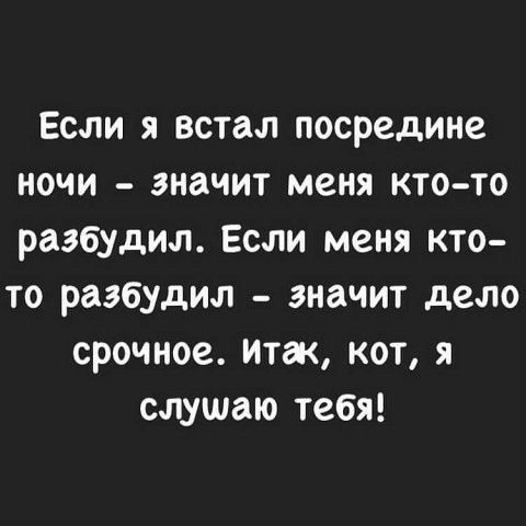 Если я встал посредине ночи значит меня кто то разбудил Если меня кто то разбудил значит дело срочное Итак кот я слушаю тебя