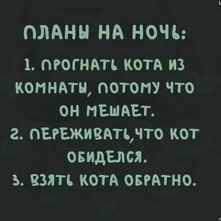 ПЛАНЫ НА НОЧЬ 1 тогндть котА из копндтн потому что он пшмат г пвгвживдпмю кот осидЕлся ъ взять коп овгатно