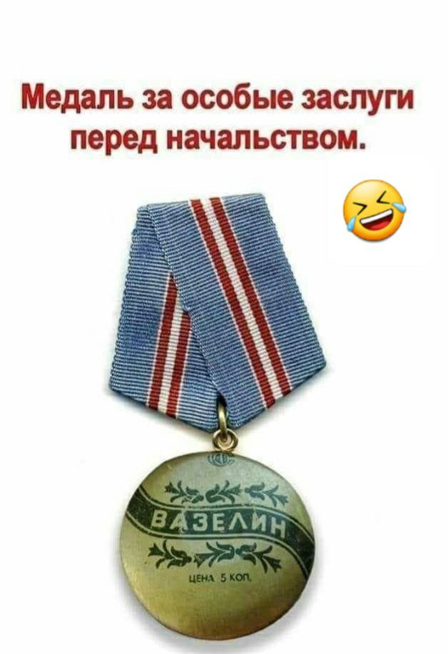 Медаль за особые заслуги перед начальством