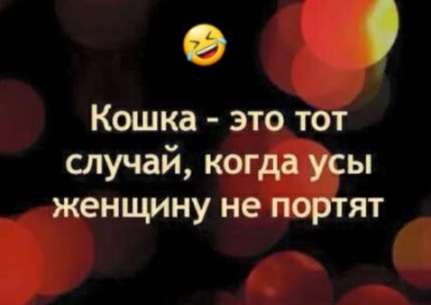 о Кошка это тот случай когда усы женщину не портят