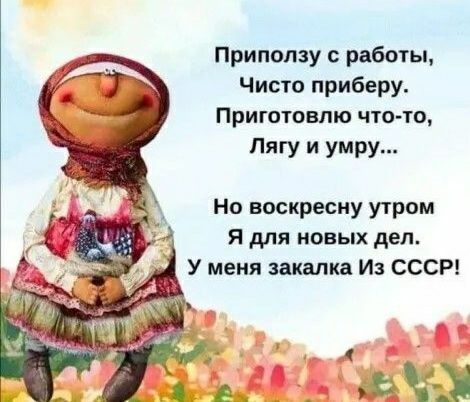Приношу работы Чисто приберу Приготовлю что то Лигу и умру Но воскресиу утром я для новых деп У меня закалка Из СССР