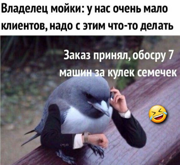 Владелец мойки у нас очень мало клиентов надо с этим что то делать Заказ принял обосру 7 ма купек семечек