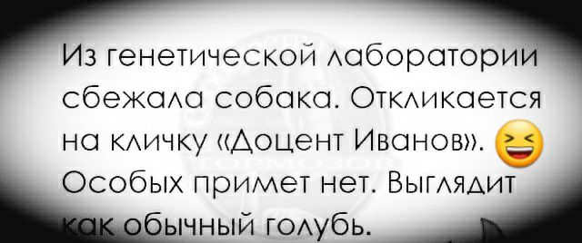 Из генетической Аоборотори СбеЖОАО собака Откмчкоется но КАИЧКУ Доцент Иванов 9 Особых примет нет ВЫГАЯАИТ ЧНЫЙ г0Аубь