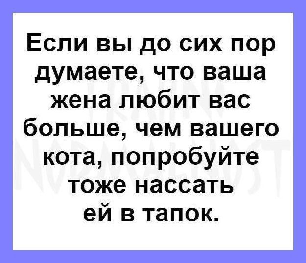 Если вы до сих пор думаете что ваша жена любит вас больше чем вашего кота попробуйте тоже нассать ей в тапок