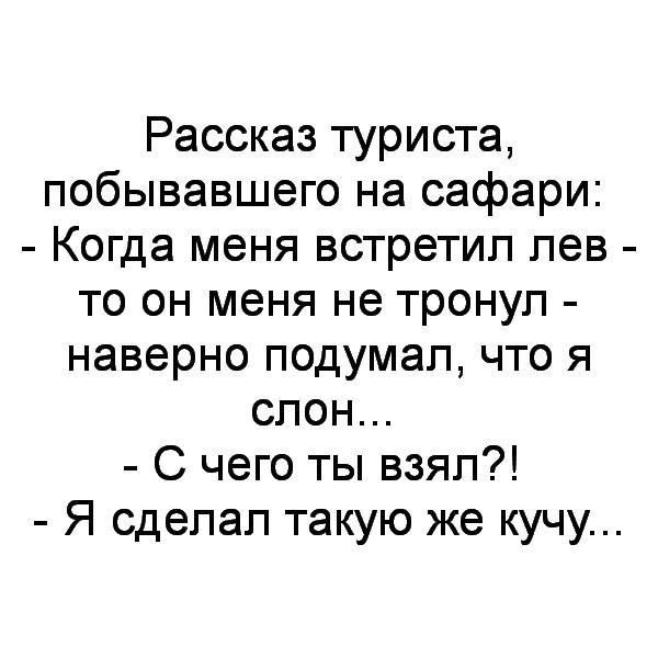 Рассказ туриста побывавшего на сафари Когда меня встретил лев то он меня не тронул наверно подумал что я слон С чего ты взял Я сделал такую же кучу