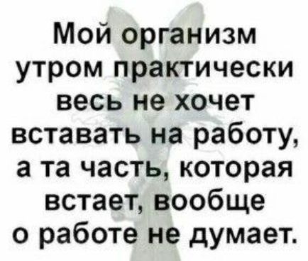 Мой организм утром практически весь не хочет вставать на работу а та часть которая встает вообще о работе не думает