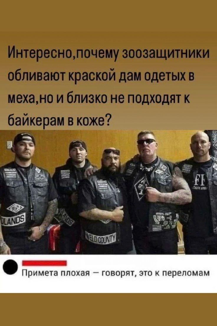 акиттикя Примета плохая говорят это к переломам