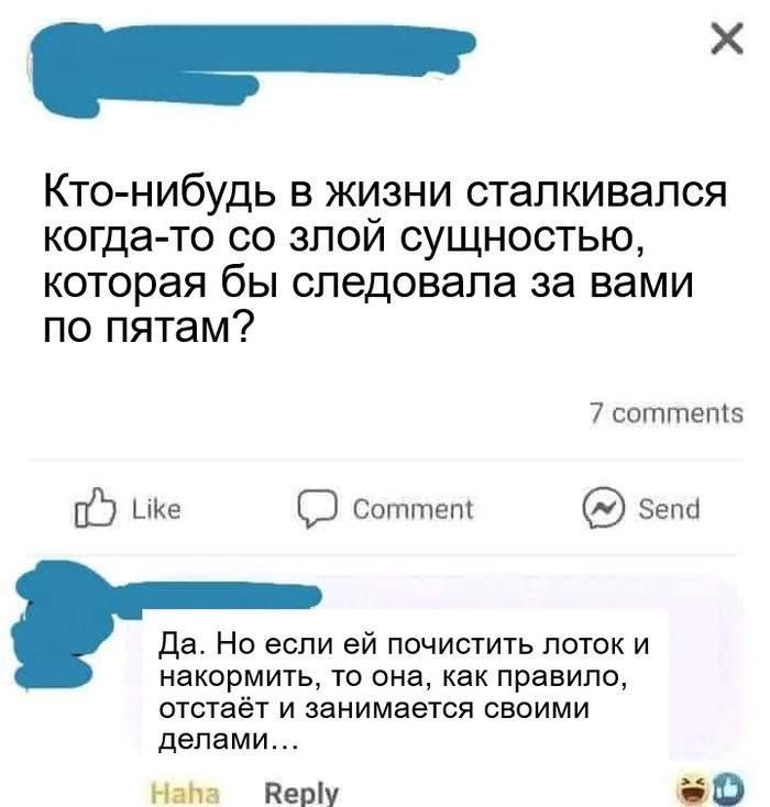 х КТО НИбУДЬ в жизни сталкивался когда то со злои сущностью которая бы следовала за вами по пятам 7 соттет5 05 ике СЭ соттет зепа Да Но если ей почистить лоток и накормить то она как правило отстаёт и занимается своими делами Набпа Веру