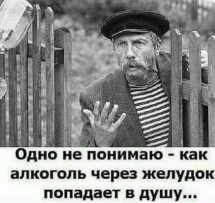 Одно не понимаю - как алкоголь через желудок попадает в душу...