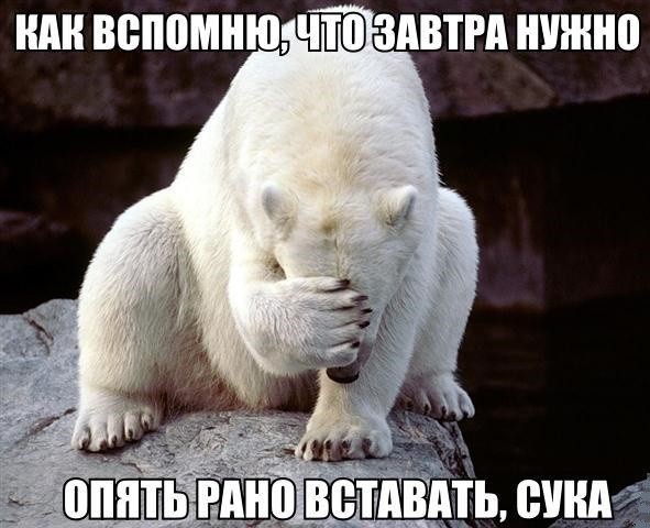 вспомню что ЗАВТРА ШШШ