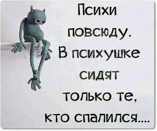 Психи повсюду В психушке сидят только те кто спалился