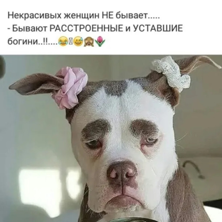 Некрасивых женщин НЕ бывает Бывают РАССТРОЕННЫЕ и УСТАВШИЕ богиниазь еще