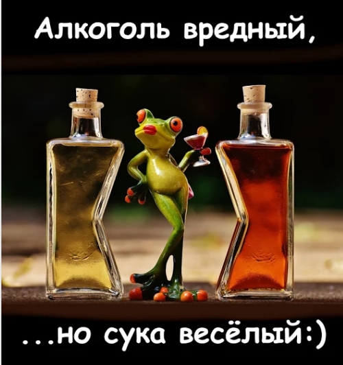 Алкоголь вредный но сука весёлый