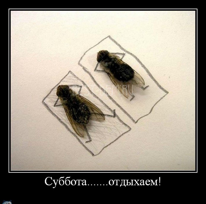 Суббота отдыхаем