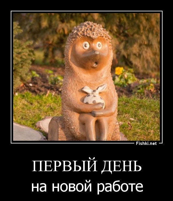 ПЕРВЫЙ ДЕНЬ на новой работе